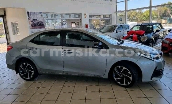 Tenga Tsaru Toyota Corolla Sirivha Mota in Beitbridge in Matabeleland South Tenga Tsaru Toyota Corolla Sirivha Mota in Beitbridge in Matabeleland South