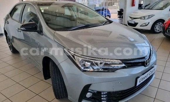Tenga Tsaru Toyota Corolla Sirivha Mota in Beitbridge in Matabeleland South Tenga Tsaru Toyota Corolla Sirivha Mota in Beitbridge in Matabeleland South