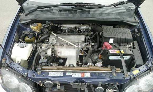 Buy Used Toyota Epsun Blue Car in Beitbridge in Matabeleland South Buy Used Toyota Epsun Blue Car in Beitbridge in Matabeleland South