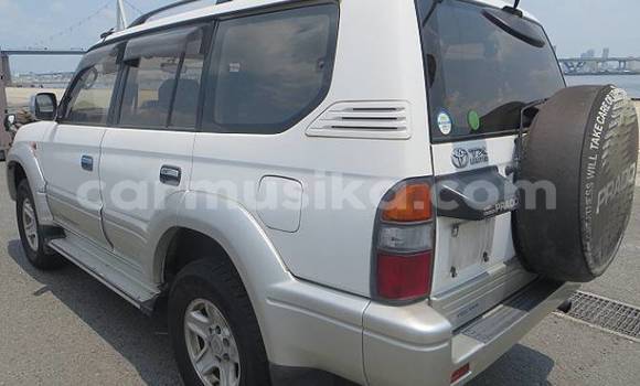 Buy Used Toyota Land Cruiser Prado White Car in Beitbridge in Matabeleland South Buy Used Toyota Land Cruiser Prado White Car in Beitbridge in Matabeleland South
