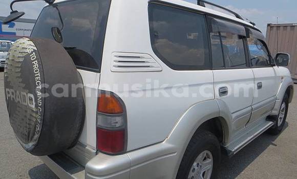 Buy Used Toyota Land Cruiser Prado White Car in Beitbridge in Matabeleland South Buy Used Toyota Land Cruiser Prado White Car in Beitbridge in Matabeleland South