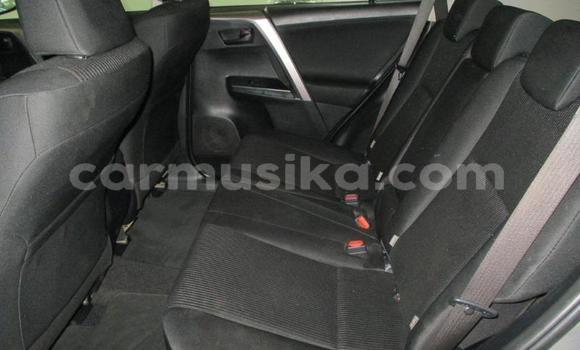 Buy Used Toyota RAV4 Other Car in Beitbridge in Matabeleland South Buy Used Toyota RAV4 Other Car in Beitbridge in Matabeleland South