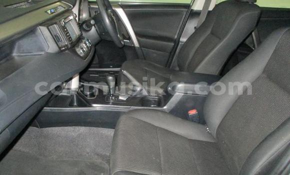 Buy Used Toyota RAV4 Other Car in Beitbridge in Matabeleland South Buy Used Toyota RAV4 Other Car in Beitbridge in Matabeleland South