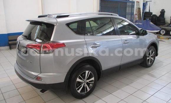 Buy Used Toyota RAV4 Other Car in Beitbridge in Matabeleland South Buy Used Toyota RAV4 Other Car in Beitbridge in Matabeleland South