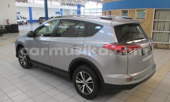 Buy Used Toyota RAV4 Other Car in Beitbridge in Matabeleland South Buy Used Toyota RAV4 Other Car in Beitbridge in Matabeleland South