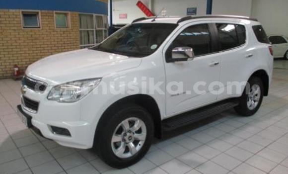 Tenga Tsaru Chevrolet TrailBlazer Chena Mota in Beitbridge in Matabeleland South