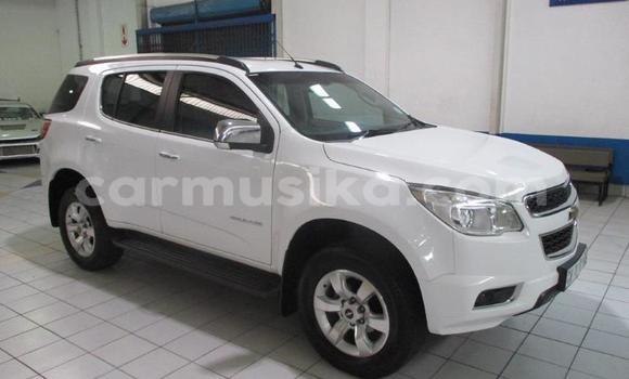 Acheter Occasion Voiture Chevrolet TrailBlazer Blanc à Beitbridge, Matabeleland South Acheter Occasion Voiture Chevrolet TrailBlazer Blanc à Beitbridge, Matabeleland South