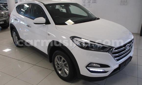 Nunua Ilio tumika Hyundai Tucson Nyeupe Gari ndani ya Beitbridge nchini Matabeleland Kusini
