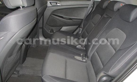 Acheter Occasion Voiture Hyundai Tucson Blanc à Beitbridge, Matabeleland South Acheter Occasion Voiture Hyundai Tucson Blanc à Beitbridge, Matabeleland South