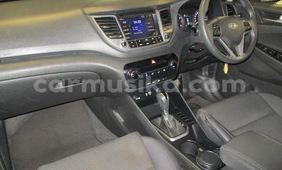 Acheter Occasion Voiture Hyundai Tucson Blanc à Beitbridge, Matabeleland South Acheter Occasion Voiture Hyundai Tucson Blanc à Beitbridge, Matabeleland South