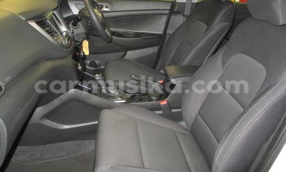 Acheter Occasion Voiture Hyundai Tucson Blanc à Beitbridge, Matabeleland South Acheter Occasion Voiture Hyundai Tucson Blanc à Beitbridge, Matabeleland South