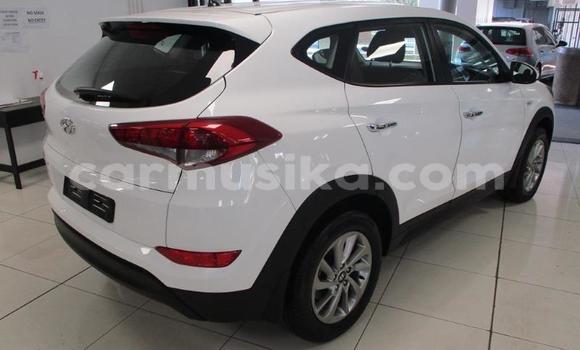 Acheter Occasion Voiture Hyundai Tucson Blanc à Beitbridge, Matabeleland South Acheter Occasion Voiture Hyundai Tucson Blanc à Beitbridge, Matabeleland South