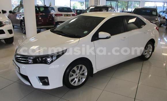 Buy Used Toyota Corolla White Car in Beitbridge in Matabeleland South