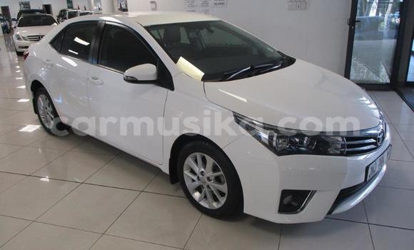 Acheter Occasion Voiture Toyota Corolla Blanc à Beitbridge, Matabeleland South Acheter Occasion Voiture Toyota Corolla Blanc à Beitbridge, Matabeleland South