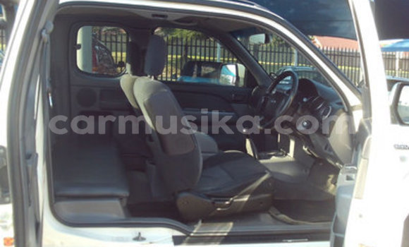 Tenga Tsaru Ford Ranger Chena Mota in Beitbridge in Matabeleland South Tenga Tsaru Ford Ranger Chena Mota in Beitbridge in Matabeleland South