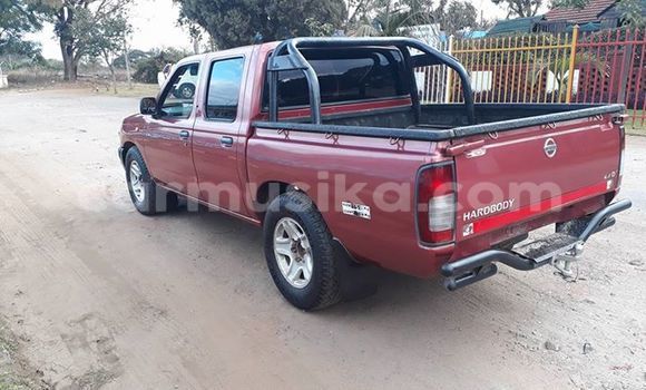 Tenga Tsaru Nissan Hardbody Tsvuku Mota in Alexandra Park in Harare Tenga Tsaru Nissan Hardbody Tsvuku Mota in Alexandra Park in Harare