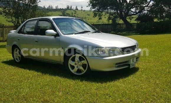 Acheter Occasion Voiture Toyota Corolla Gris à Beitbridge, Matabeleland South Acheter Occasion Voiture Toyota Corolla Gris à Beitbridge, Matabeleland South