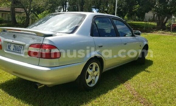 Acheter Occasion Voiture Toyota Corolla Gris à Beitbridge, Matabeleland South Acheter Occasion Voiture Toyota Corolla Gris à Beitbridge, Matabeleland South