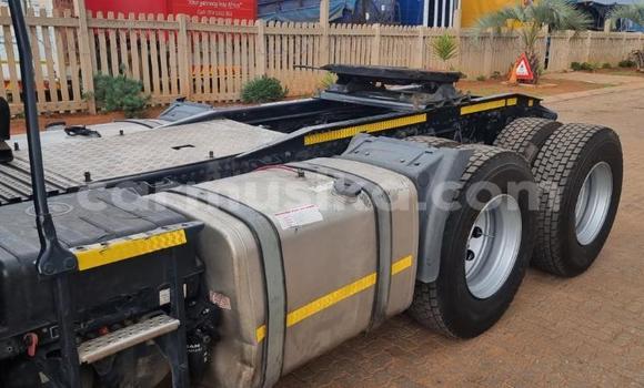 Acheter Occasion Utilitaire Man D20 Blanc à Chinhoyi, Mashonaland West Acheter Occasion Utilitaire Man D20 Blanc à Chinhoyi, Mashonaland West