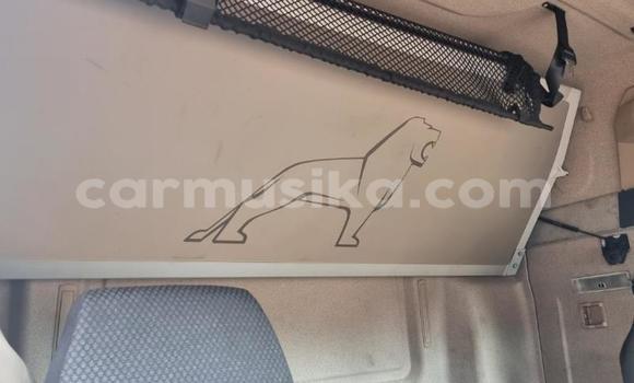 Acheter Occasion Utilitaire Man D20 Blanc à Chinhoyi, Mashonaland West Acheter Occasion Utilitaire Man D20 Blanc à Chinhoyi, Mashonaland West