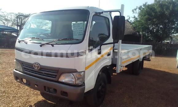 Nunua Ilio tumika Toyota Dyna Nyeupe Lori ndani ya Borrowdale nchini Harare