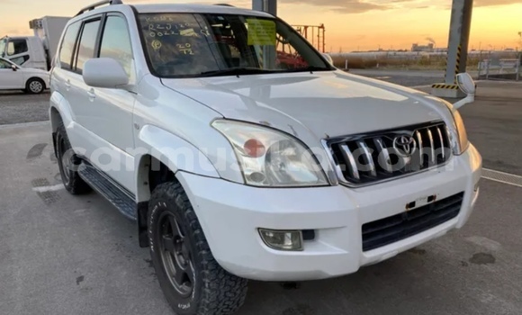 Buy Used Toyota Prado White Car in Beitbridge in Matabeleland South
