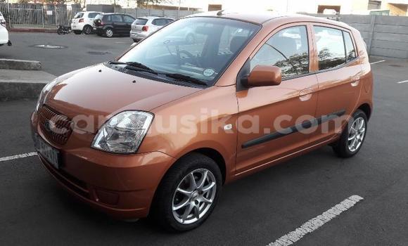 Nunua Ilio tumika Kia Picanto Brown Gari ndani ya Beitbridge nchini Matabeleland Kusini Nunua Ilio tumika Kia Picanto Brown Gari ndani ya Beitbridge nchini Matabeleland Kusini