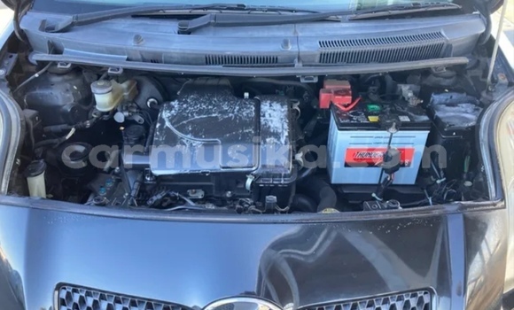 Acheter Occasion Voiture Toyota Vitz Noir à Beitbridge, Matabeleland South Acheter Occasion Voiture Toyota Vitz Noir à Beitbridge, Matabeleland South