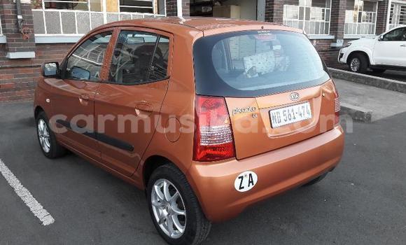 Nunua Ilio tumika Kia Picanto Brown Gari ndani ya Beitbridge nchini Matabeleland Kusini Nunua Ilio tumika Kia Picanto Brown Gari ndani ya Beitbridge nchini Matabeleland Kusini