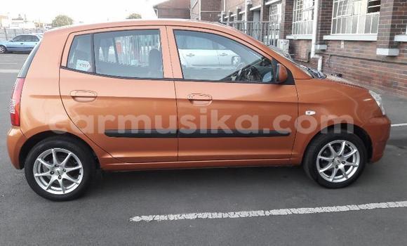 Nunua Ilio tumika Kia Picanto Brown Gari ndani ya Beitbridge nchini Matabeleland Kusini Nunua Ilio tumika Kia Picanto Brown Gari ndani ya Beitbridge nchini Matabeleland Kusini