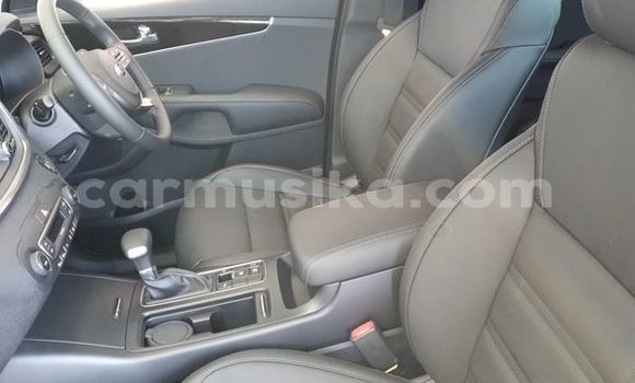 Nunua Ilio tumika Kia Sorento Fedha Gari ndani ya Beitbridge nchini Matabeleland Kusini Nunua Ilio tumika Kia Sorento Fedha Gari ndani ya Beitbridge nchini Matabeleland Kusini