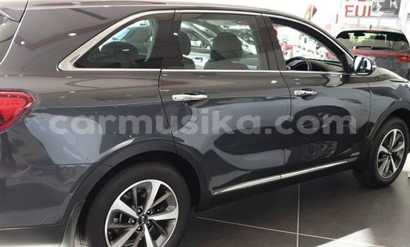 Nunua Ilio tumika Kia Sorento Fedha Gari ndani ya Beitbridge nchini Matabeleland Kusini Nunua Ilio tumika Kia Sorento Fedha Gari ndani ya Beitbridge nchini Matabeleland Kusini