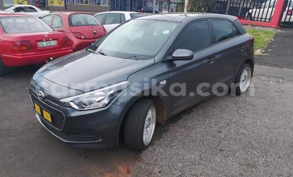 Buy Used Hyundai i20 Other Car in Beitbridge in Matabeleland South Buy Used Hyundai i20 Other Car in Beitbridge in Matabeleland South