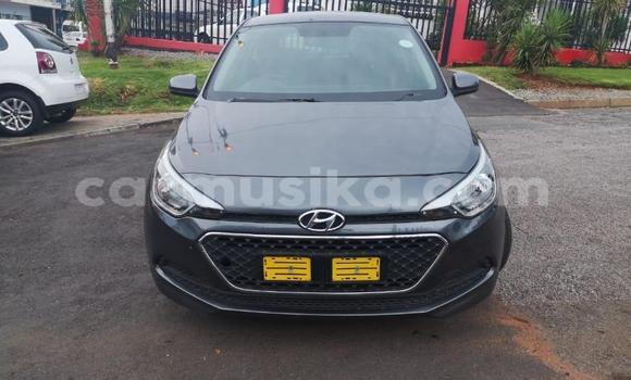 Buy Used Hyundai i20 Other Car in Beitbridge in Matabeleland South Buy Used Hyundai i20 Other Car in Beitbridge in Matabeleland South