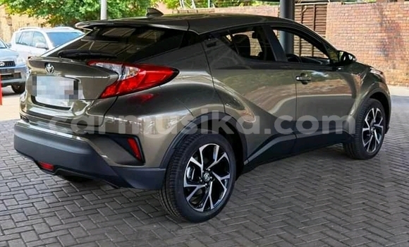 Acheter Occasion Voiture Toyota Etios Beige à Beitbridge, Matabeleland South