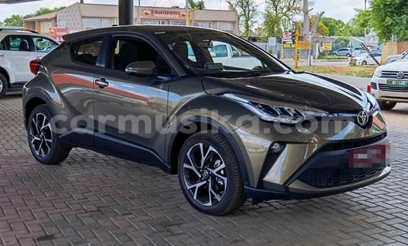 Tenga Tsaru Toyota Etios Beige Mota in Beitbridge in Matabeleland South Tenga Tsaru Toyota Etios Beige Mota in Beitbridge in Matabeleland South