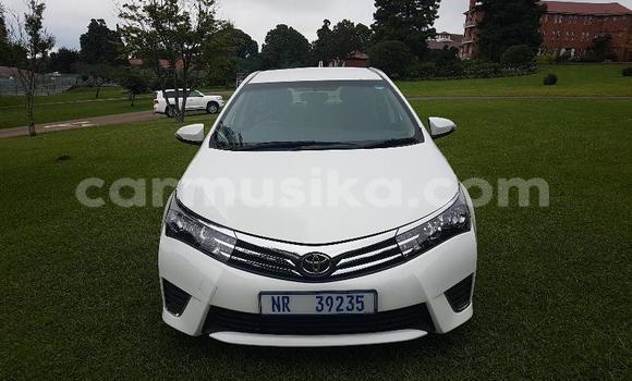 Acheter Occasion Voiture Toyota Corolla Blanc à Beitbridge, Matabeleland South Acheter Occasion Voiture Toyota Corolla Blanc à Beitbridge, Matabeleland South
