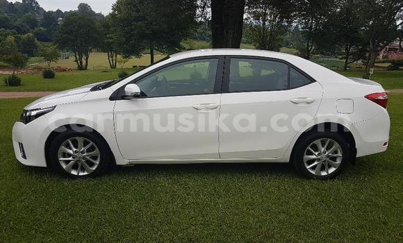 Acheter Occasion Voiture Toyota Corolla Blanc à Beitbridge, Matabeleland South Acheter Occasion Voiture Toyota Corolla Blanc à Beitbridge, Matabeleland South