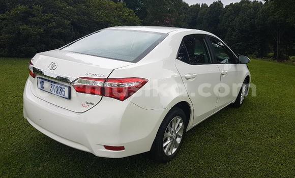 Acheter Occasion Voiture Toyota Corolla Blanc à Beitbridge, Matabeleland South Acheter Occasion Voiture Toyota Corolla Blanc à Beitbridge, Matabeleland South