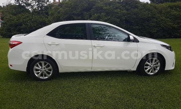 Acheter Occasion Voiture Toyota Corolla Blanc à Beitbridge, Matabeleland South Acheter Occasion Voiture Toyota Corolla Blanc à Beitbridge, Matabeleland South