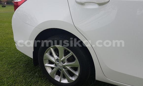 Acheter Occasion Voiture Toyota Corolla Blanc à Beitbridge, Matabeleland South Acheter Occasion Voiture Toyota Corolla Blanc à Beitbridge, Matabeleland South