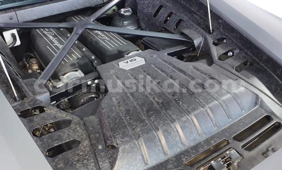 Buy Used Lamborghini Huracan Silver Car in Beitbridge in Matabeleland South Buy Used Lamborghini Huracan Silver Car in Beitbridge in Matabeleland South