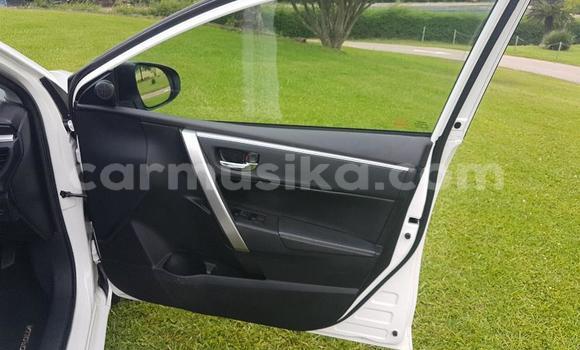 Acheter Occasion Voiture Toyota Corolla Blanc à Beitbridge, Matabeleland South Acheter Occasion Voiture Toyota Corolla Blanc à Beitbridge, Matabeleland South