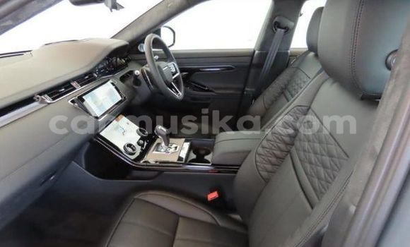 Buy Used Range Rover Evoque Silver Car in Beitbridge in Matabeleland South Buy Used Range Rover Evoque Silver Car in Beitbridge in Matabeleland South