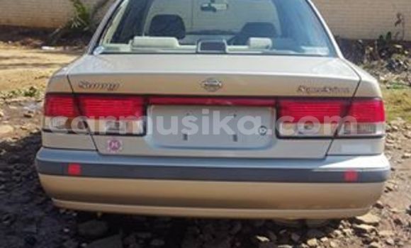 Tenga Tsaru Nissan Sunny Sirivha Mota in Alexandra Park in Harare Tenga Tsaru Nissan Sunny Sirivha Mota in Alexandra Park in Harare