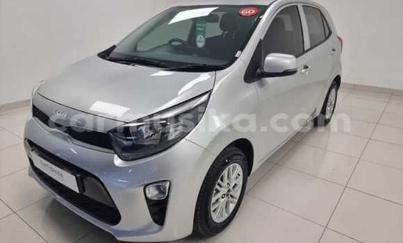 Buy Used Kia Picanto Silver Car in Beitbridge in Matabeleland South