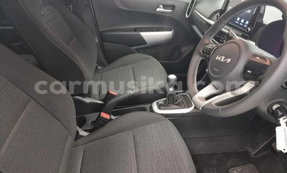 Nunua Ilio tumika Kia Picanto Fedha Gari ndani ya Beitbridge nchini Matabeleland Kusini Nunua Ilio tumika Kia Picanto Fedha Gari ndani ya Beitbridge nchini Matabeleland Kusini