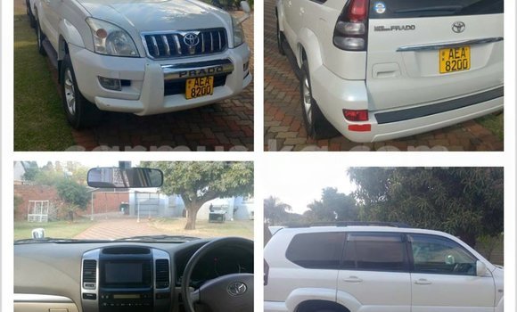 Acheter Occasion Voiture Toyota Prado Blanc à Alexandra Park, Harare Acheter Occasion Voiture Toyota Prado Blanc à Alexandra Park, Harare