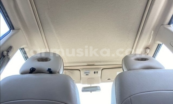 Acheter Occasion Voiture Nissan X–Trail Gris à Beitbridge, Matabeleland South Acheter Occasion Voiture Nissan X–Trail Gris à Beitbridge, Matabeleland South