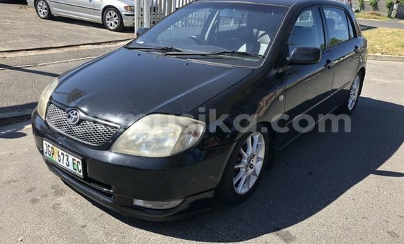 Acheter Occasion Voiture Toyota Runx Noir à Beitbridge, Matabeleland South Acheter Occasion Voiture Toyota Runx Noir à Beitbridge, Matabeleland South